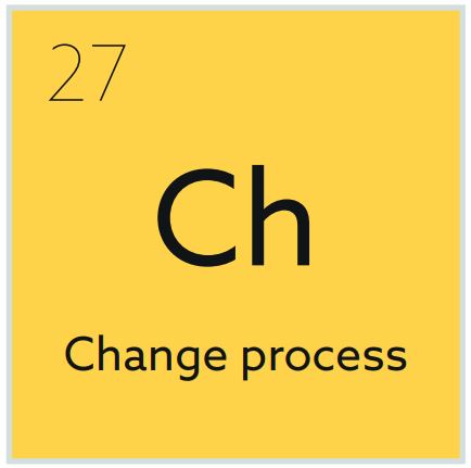 Change Process