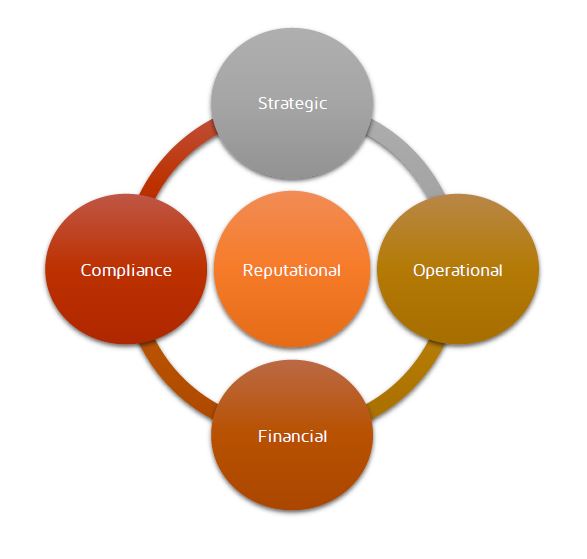 Elements of a risk management programme