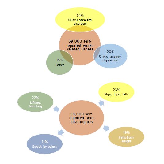 Primary tupes of work-related illness and injury