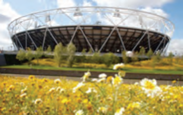 sportsGroundReuse4