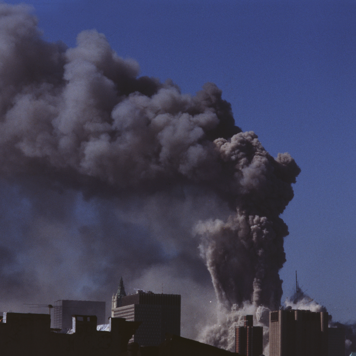 The progressive collapse of the North Tower. Jason Valdina/flickr, CC BY-SA