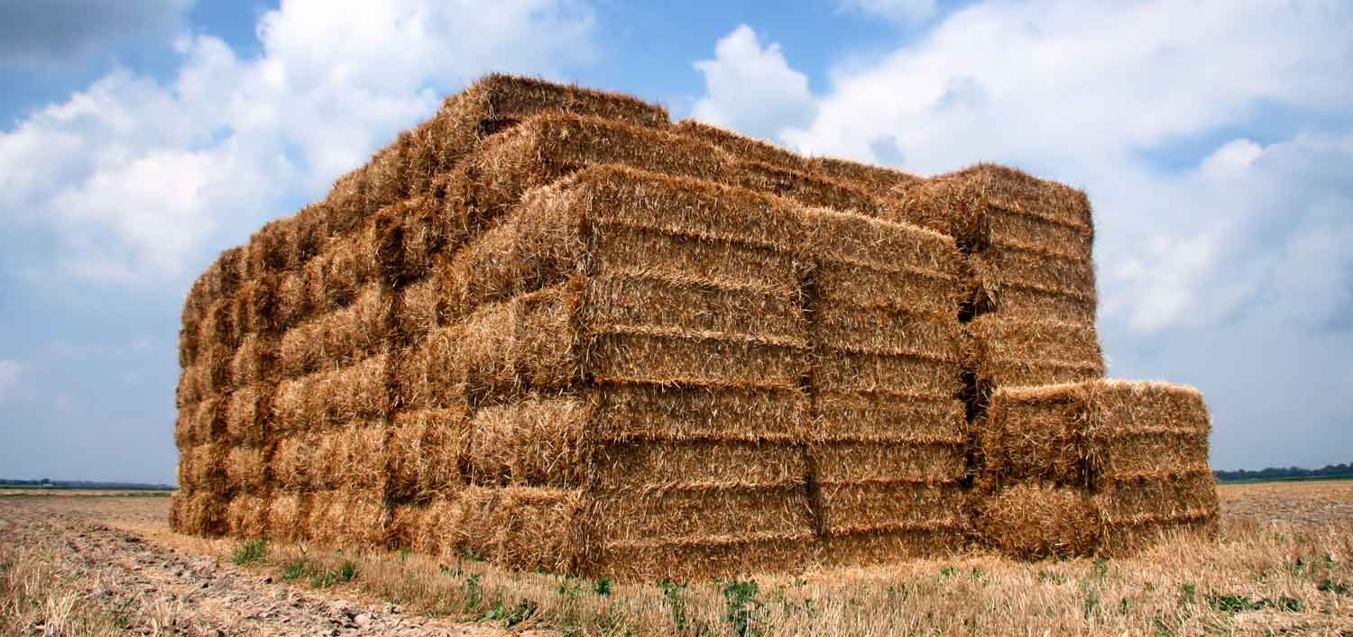 Guide to straw bale construction