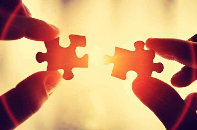 Jigsaw pieces