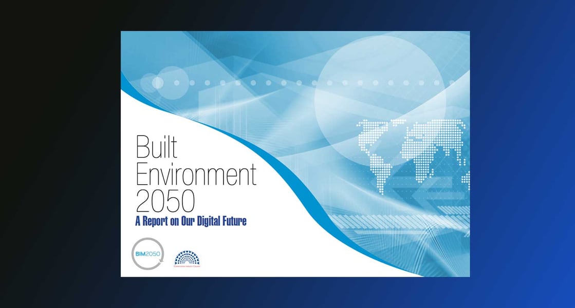 Looking to 2050