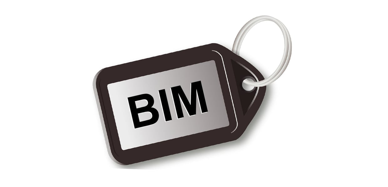 The BIM 'label' : Is the term still fit for purpose?