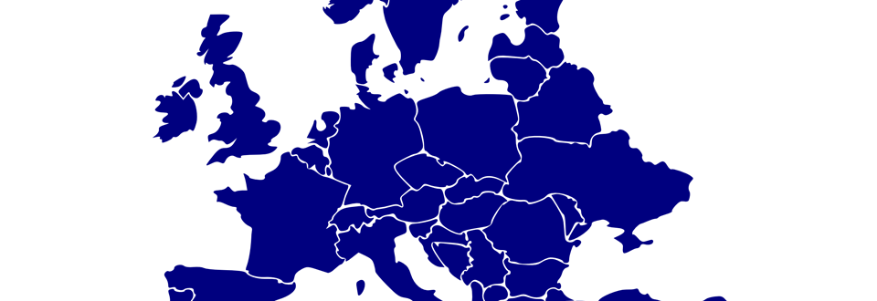 EU Referendum Survey