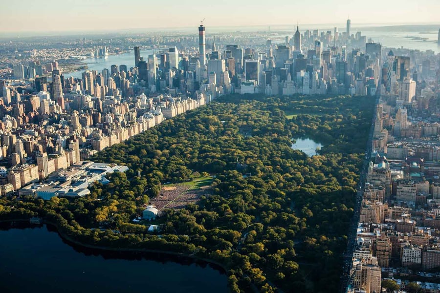 How should we design cities to make the most of urban ecosystems?