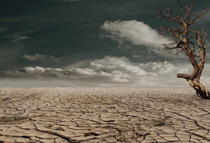 Climate change adaptation in buildings: Drought