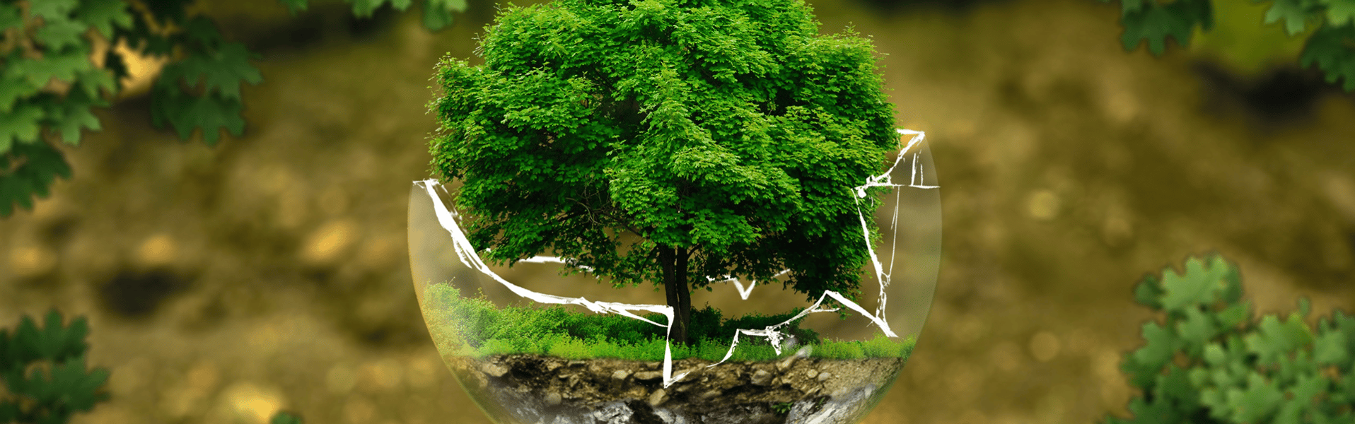 Incorporating circular economy thinking into the built environment