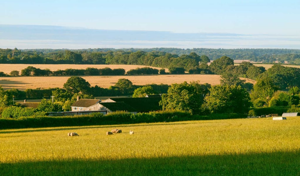 Should Britain build on its green spaces to solve the housing crisis?