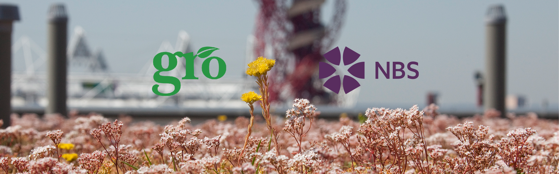 NBS and GRO join forces in a bid to further practical advice around sustainable specification