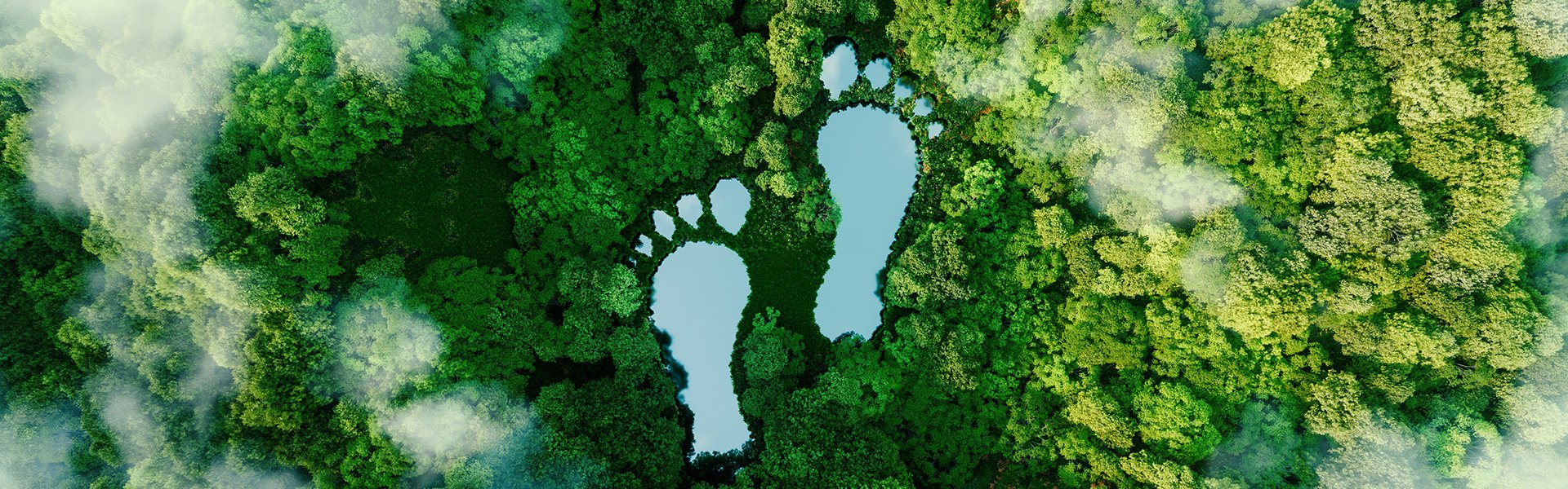 NBS awarded carbon neutral status