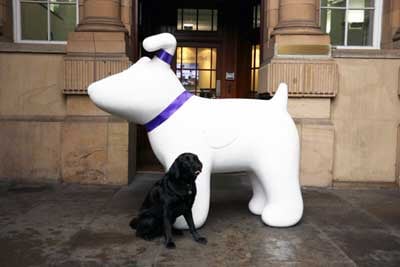 Top dog meets a snowdog