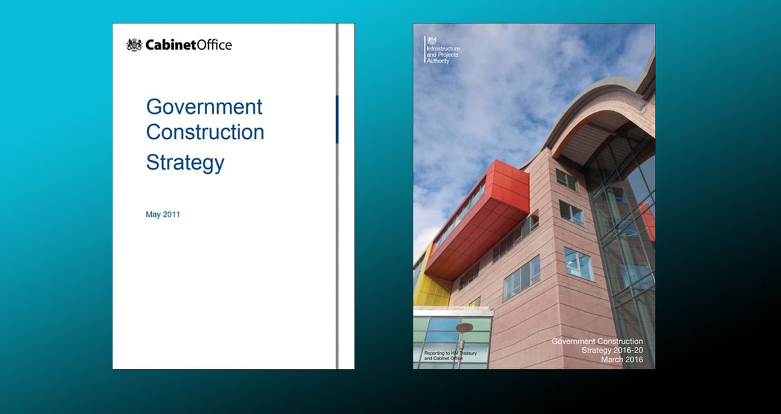 What is the Government Construction Strategy?