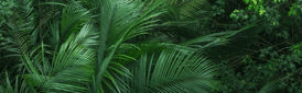Green plants