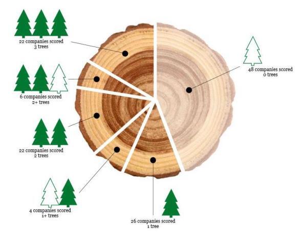 timber-scorecard
