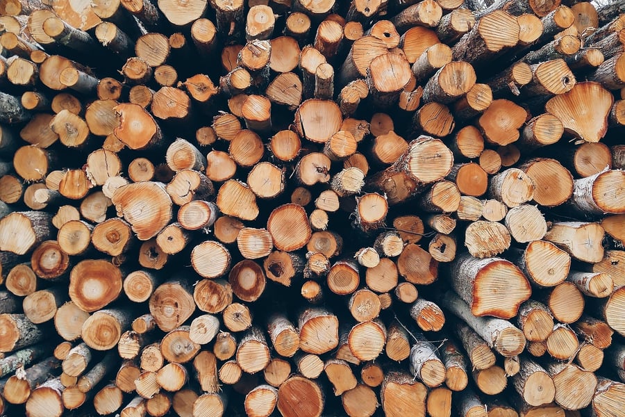 2017 Timber Scorecard - What progress on sustainable timber production?