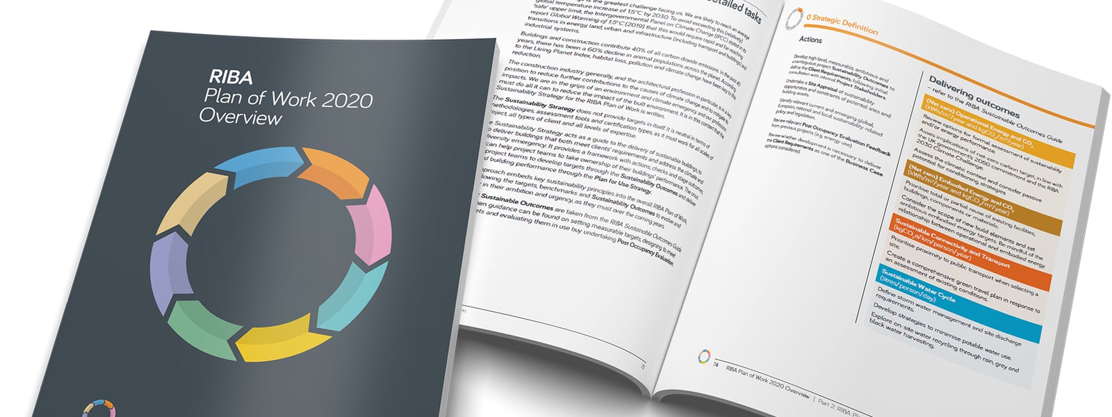 Using NBS to specify sustainable outcomes on projects