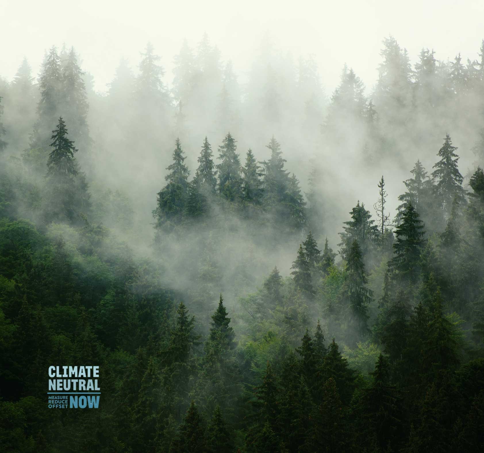 NBS-Climate-neutral-now